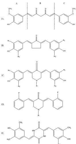 Gambar 1. A. Senyawa kurkumin sebagai senyawa penuntun dibagi menjadi tiga gugus farmakofor A, B dan C (Robinson et al., 2003), B