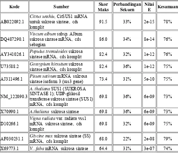 Tabel 2. Penyejajaran nilai kesamaan basa nukleotida sukrosa sintase  