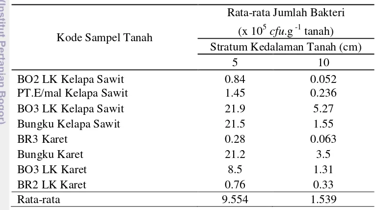 Tabel 1 Kelimpahan rata-rata bakteri nitritasi pada tanah asal lahan perkebunan  
