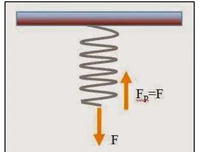 Gambar 6. Pegas yang Ditarik dengan Gaya (F) 