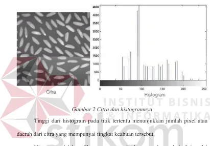 Gambar 2 Citra dan histogramnya 