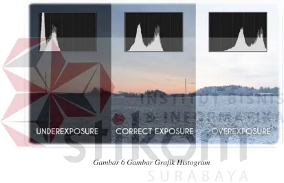 Gambar 6 Gambar Grafik Histogram 