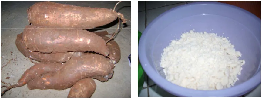 GAMBAR BAHAN DAN ALAT-ALAT PENELITIAN 