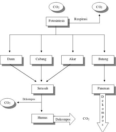 Gambar 2  Siklus karbon di dalam ekosistem hutan (Nabuurs dan Mohren, 1993)     