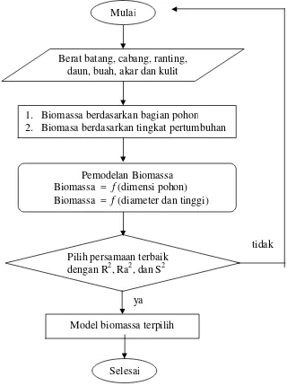 Gambar 5.  Diagram alir pembuatan model biomassa dan karbon pohon 