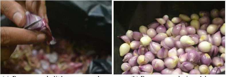 Gambar 2 Proses sortasi dan pembersihan pada bawang merah 