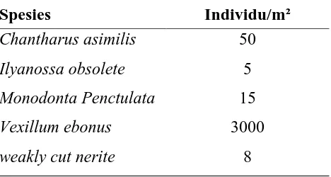 Tabel 1. Jenis dan Kepadatan Rata-rata Makrozoobenthos di Lokasi Keramba               Jaring Apung 
