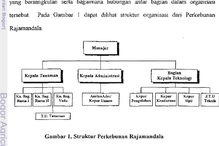 Gambar 1. Struktur Perkebunan Rajamandala 