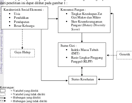 Gambar 1 Kerangka pemikiran keragaman konsumsi pangan dan hubungannya 