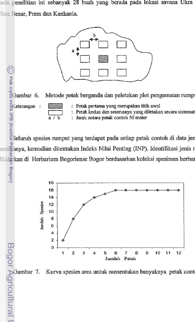 Gambar 6. Metode petak berganda dan peletakan plot pengamatan rumput 
