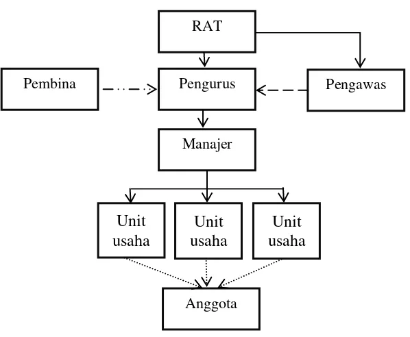 Gambar 1. Struktur internal koperasi secara umum 