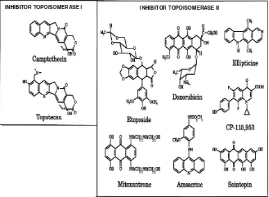 Gambar  5  Perbedaan antara  inhibitor katalitik dan poison     (Topogen  2006). 