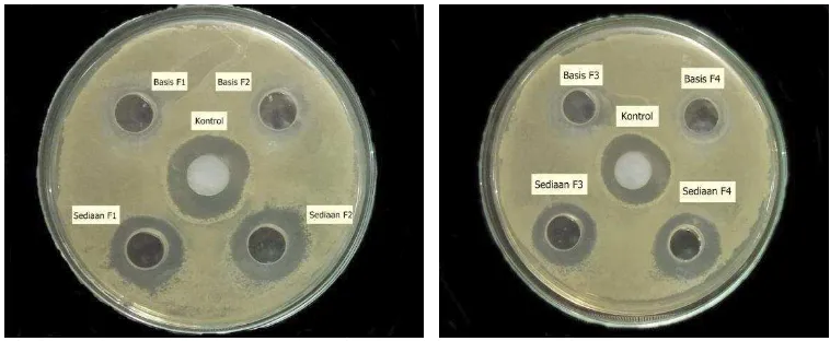 Gambar 2.  Hasil uji aktivitas antibakteri salep minyak atsiri kemangi terhadap