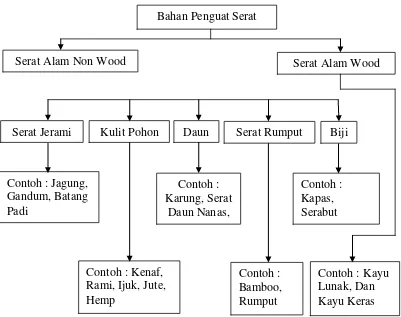 Gambar 9. Klasifikasi Jenis Serat Alam (Thi Thu Loan, 2006). 