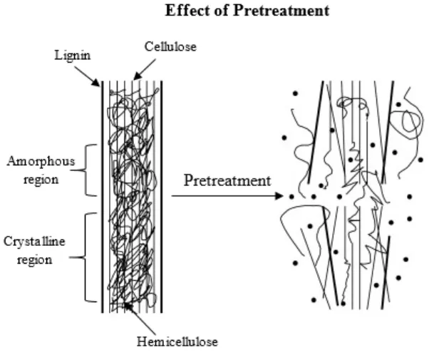 Gambar 2.6 Skema Tujuan  Pretreatment pada Biomassa Lignoselulosa (Mosier dkk,  2005) 