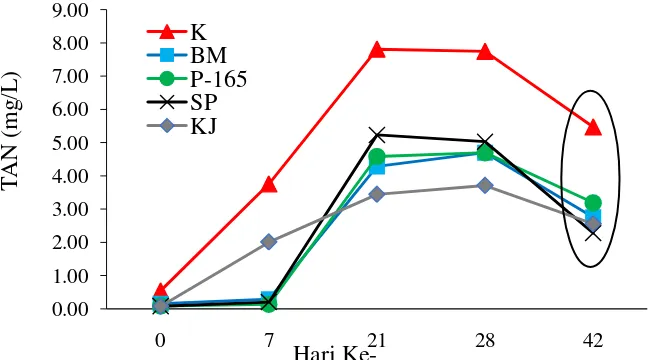 Gambar 7 Rata-rata fluktuasi konsentrasi amonia tidak terionisasi pada perlakuan tanpa bakteri dan molase (K), perlakuan B