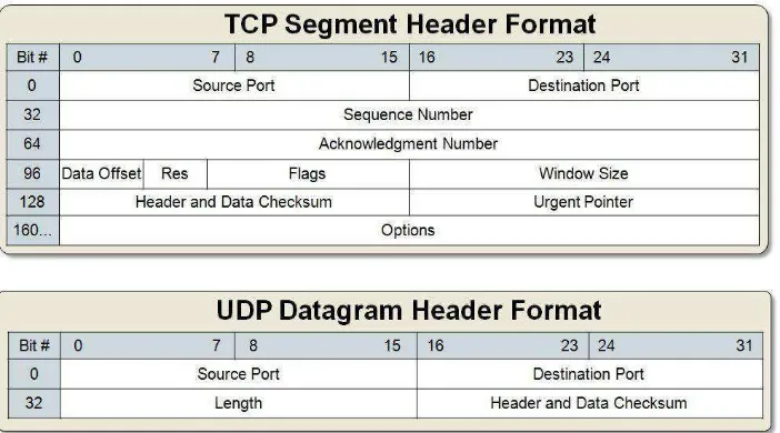 Gambar 2.5 Header TCP dan UDP. 