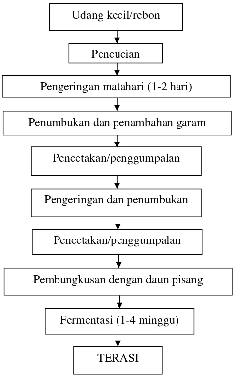Gambar 2. Proses pengolahan terasi (Rahayu dkk, 1992)