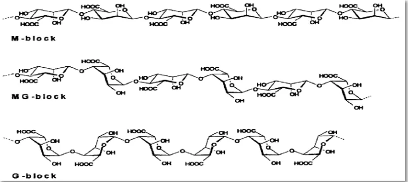 Gambar 2.2 Struktur alginat (Draget, dkk., 2005) 