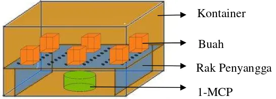 Gambar 1.  Sketsa percobaan gassing 1-MCP pada buah jambu biji ‘Crystal’dalam kontainer kedap udara