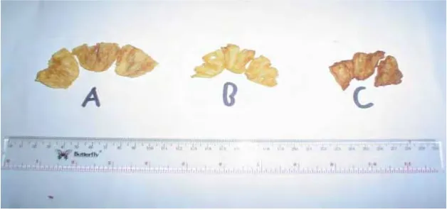 Gambar 4. (a) Keripik nanas paon kebun, (b) keripik nanas madu, dan (c) keripik nanas komersil 