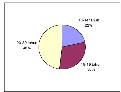 Gambar 7.  Pie chart persentase responden berdasarkan jenis pekerjaan 