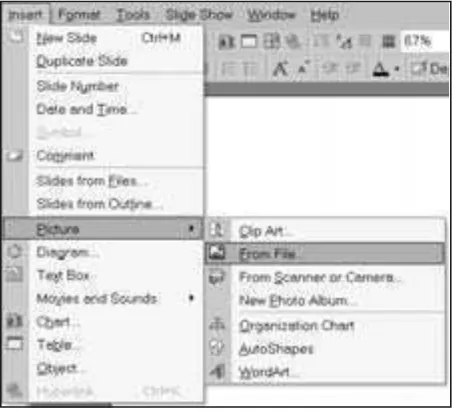 Figure 2.2. Choosing In sert Pic ture From File from the Menu