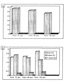 Gambar I. Hubungan antara komponen kimia (A) kadar pati dan (B) serat. protein clan total asam pada beras ubi kayu dengan periode fementasi 