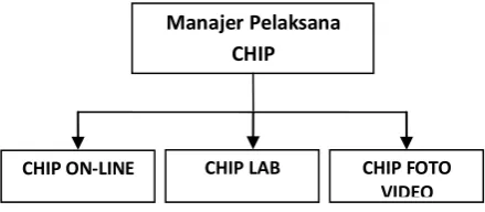 Gambar 2.2 Struktur Organisasi CHIP 