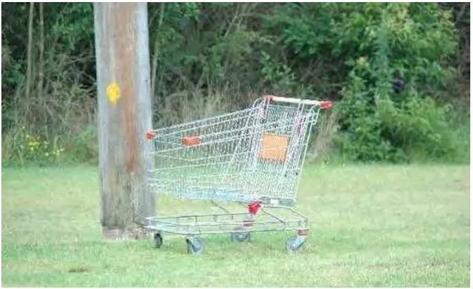Figure 1.0: Trolley Is Out of Range from the Shopping Complex 