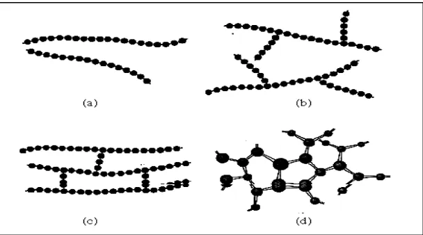 Figure 1.1 Schematic illustration of molecular structure of polymers (a) linear, (b) 