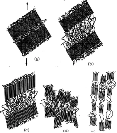 Figure 1.4 Stages in the deformation of semicrystalline polymer. (a) Two adjacent chain 