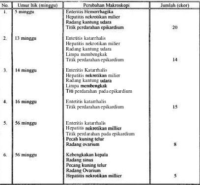 Tabel I. Perubahan Makroskopi ltik yang Terserang Penyakit Kolera yang Diperiksa di Laboratorium Patologi Unggiis FKH-IPB Tahun 1992 - 1994 (N = 72 ekor)