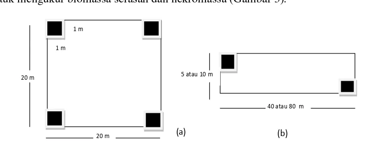 Gambar 3 Model plot: a) bujur sangkar ; b) persegi panjang 