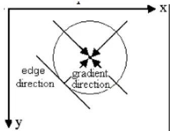 Figure 2 : Illustration of edge direction and gradient direction 