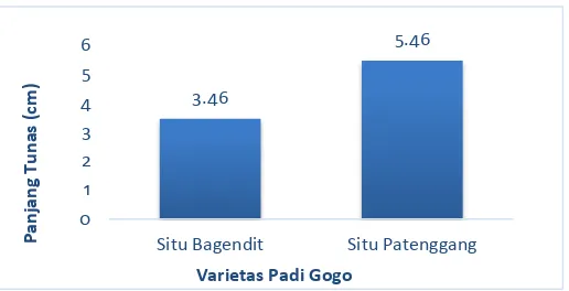 Gambar 7. Grafik nilai tengah perbedaan terhadap panjang tunas padi gogo antara varietas Situ Bagendit dan Situ Patenggang