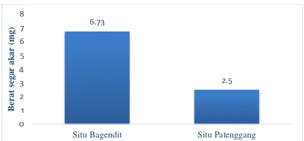 Gambar 10. Grafik nilai tengah pengaruh polietilen glikol 6000 terhadap berat segar akar padi gogo varietas Situ Bagendit dan Situ Patenggang