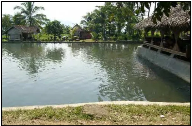 Gambar  4.2. Kolam Ikan untuk Pemancingan di Desa Barugbug Kecamatan Padarincang                   