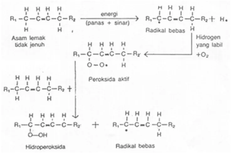 Gambar 2. Reaksi otooksidasi (Winarno, 1991) 
