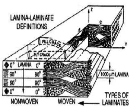 Gambar 10. Mikrostruktur lamina. (Widodo, 2007) 