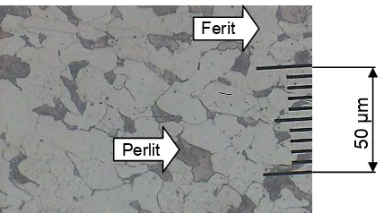 Gambar 10, merupakan hasil pengujian struktur mikro pada rawmaterialsebagai batas terluar