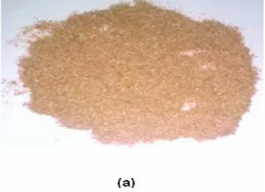 Fig. 2. Wood flour (a) Virgin (b) Recycle 