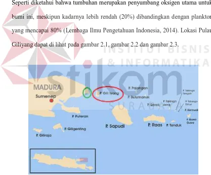 Gambar 2.1 Peta Lokasi Pulau Giliyang, Madura. 