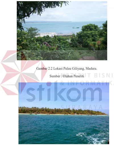 Gambar 2.2 Lokasi Pulau Giliyang, Madura. 