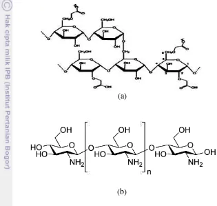 Gambar 2. Struktur polimer carboxymethyl starch (a) dan kitosan (b) 