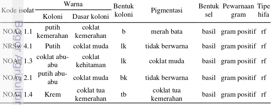 Tabel 1. Karakteristik morfologi aktinomiset yang berasosiasi pada spons 