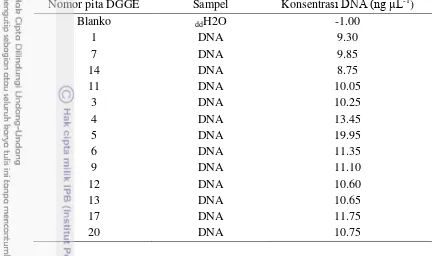 Tabel 6 Konsentrasi DNA pita DGGE struktur komunitas aktinomiset spons 