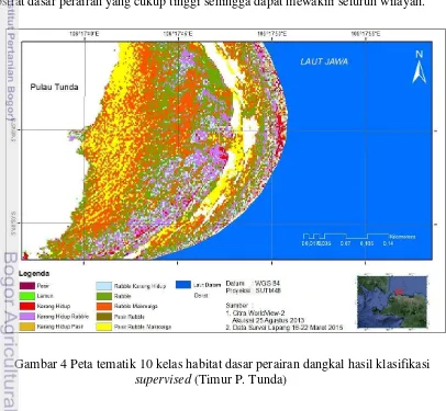 Gambar 4 Peta tematik 10 kelas habitat dasar perairan dangkal hasil klasifikasi 