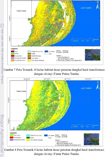 Gambar 8 Peta Tematik 6 kelas habitat dasar perairan dangkal hasil transformasi DII dengan slicing (Timur Pulau Tunda) 