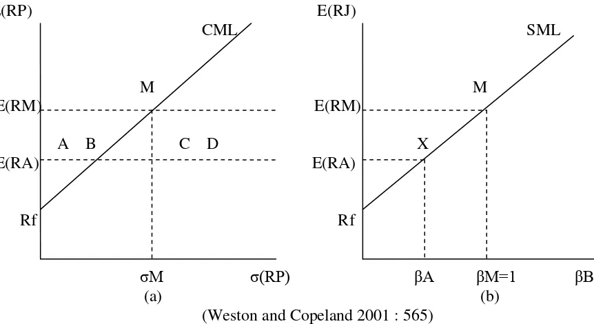 Grafik ini menunjukan perbandingan antara CML dan SML 